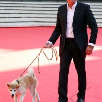 2009年ローマ国際映画祭に登場したリチャード・ギアと、『HACHI 約束の犬』で共演した犬