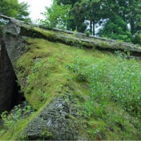 塩津丈洋植物研究所の初個展「共に」