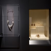 Installation image of 'Pearls' 