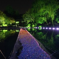 フルラの新作披露パーティーが開催された東京国立博物館法隆寺宝物館前の池には、1,500本分の花びらでできた道が登場。ニコライ・バーグマン氏が手掛けた。