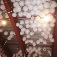 天井に浮かぶビルケンシュトックの風船