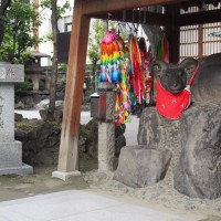 牛嶋神社の撫牛