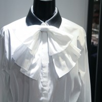 シンプルなシルエットのシャツに、レザーの付け襟やリボンタイプのシャツ飾りで華やかさを添えられる