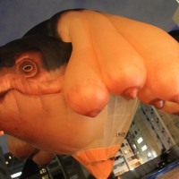 巨大気球作品「スカイホェール（Skywhale）」