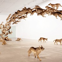 蔡國強が手掛けた、等身大99匹の狼の群れを表現した大作「壁撞き」／Photograph：Jon Linkins, Courtesy： Queensland Art Gallery｜Gallery of Modern Art