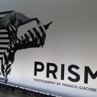 企画展「PRISM」DAIKANYAMA T-SITE GARDEN GALLERYにて6月21日まで開催
