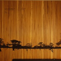 10階の川上シュンとhikaruによるアート
