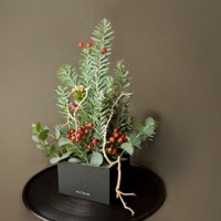 赤井勝による、ギフトボックスの中に収まる高さ約40cmサイズの可愛いクリスマスツリーを制作するワークショップ
