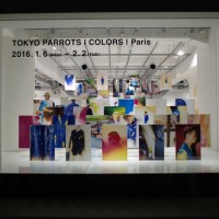 イッセイ ミヤケ メンが若手写真家・水谷吉法とコラボレーションした16SSコレクション「TOKYO PARROTS」シリーズを発売