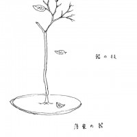 細胞を生ける器 (Sketch by Yasuhiro Suzuki)