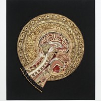 紙を丸める“クイリング”アートで解剖図を表現。和紙の色調を巧みに操るアメリカ人アーティスト