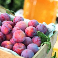 「Farmer’s Market @UNU」に出店する農家の果物をたっぷり使った酵素シロップかき氷も1日限定150食で販売