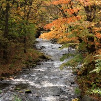 軽井沢ブレストンコート秋の風景