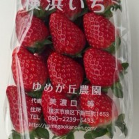 横浜市のいちご農家によるいちごの直売