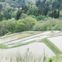 山と谷が複雑に入り組んだ八坂・美麻地区