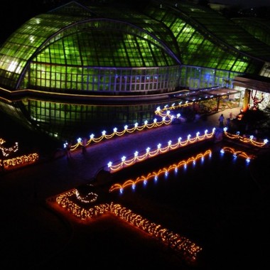 京都府立植物園、イルミネーションで夜間開放。ポインセチア1,000鉢