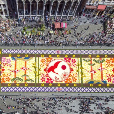 花で敷き詰められた巨大カーペットが広場に出現！ベルギーと日本の友情を祝う