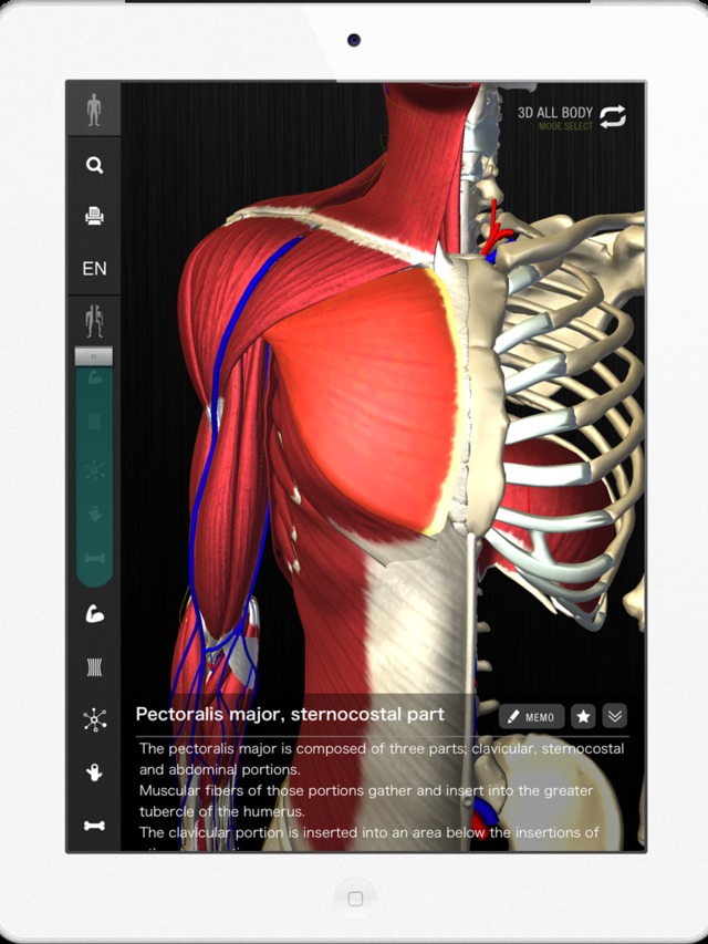 「teamLabBody」忠実に再現された3D人体模型