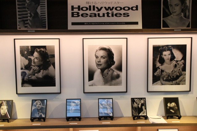 世界の往年女優たちのポートレート写真が展示・販売されている