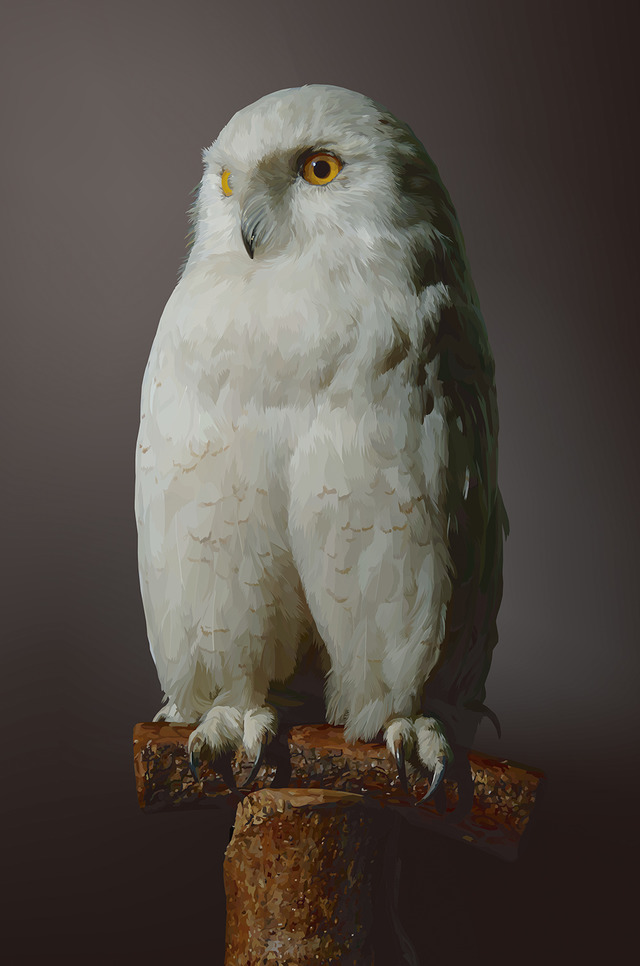 White Owl B