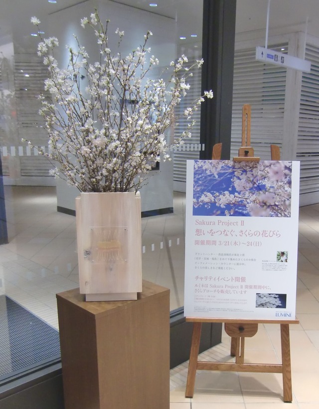 首都圏のルミネのインフォメーションカウンター付近にも東北の桜を展示