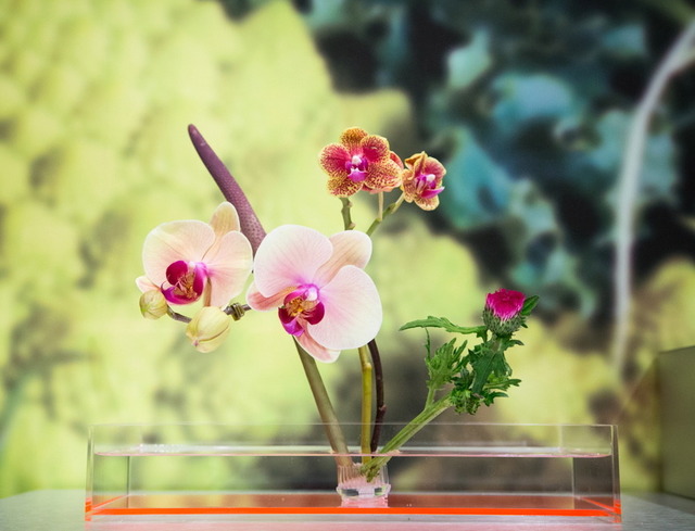 プランティカによる生け花も店頭に展示されている