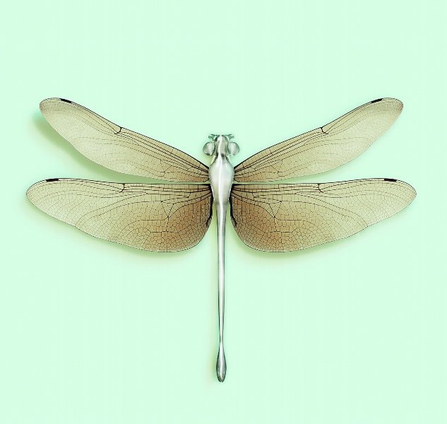 DRAGONFLY [Chloromgonfus detectis] Volatile inorganic-sensitive animal.