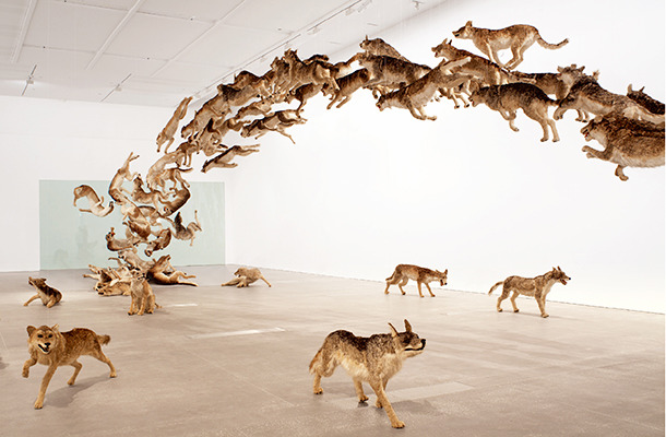 蔡國強が手掛けた、等身大99匹の狼の群れを表現した大作「壁撞き」／Photograph：Jon Linkins, Courtesy： Queensland Art Gallery｜Gallery of Modern Art