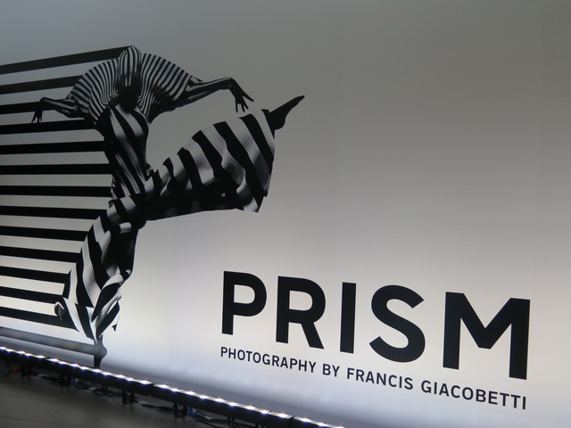 企画展「PRISM」DAIKANYAMA T-SITE GARDEN GALLERYにて6月21日まで開催