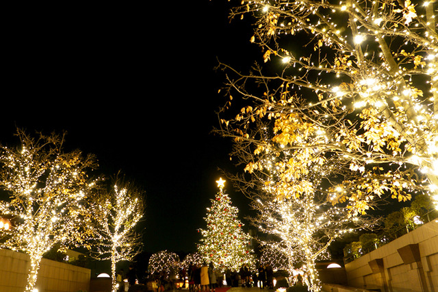 恵比寿ガーデンプレイスにて約10万もの光を使ったイルミネーションを実施