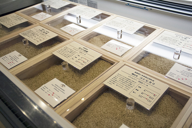 AKOMEYA  TOKYO/各地から集めた玄米を量り売りで提供