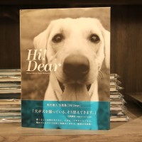 奥村康人氏写真集「Hi・Dear」。ここから一部の写真を展示している。