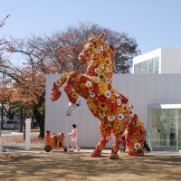 チェ・ジョンファ "フラワー・ホース" 2008 十和田市現代美術館