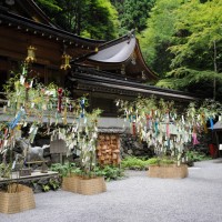 貴船神社の本宮、七夕の笹飾り。夜間はライトアップされ夜間参拝も8月15日まで行われる