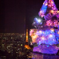 展望台からは東京タワーも見る事ができる