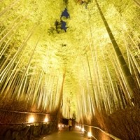 12月14日から23日まで開催される「京都・嵐山花灯路-2013」