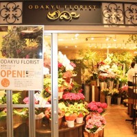 花束やアレンジメント、プリザーブドフラワーが揃う「ODAKYU FLORIST」(シティクロスゾーン)