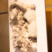 羊をモチーフにしたトゥルースタイルラボの作品