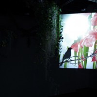 特別展覧会「Light & Nature ～Photography and the Art of Projection」