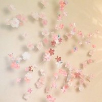 女性限定のスプリングパーティー「美と、花あそび。2015」