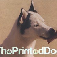 「The Printed Dog」Luis Venegas