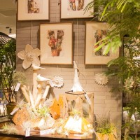 インテリアと並べて植物が展開される店内