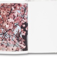 トーマス・デマンド最新作品集 「Blossom」