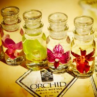本店ジャルダン・デ・フルールで扱う「Bottle flower」をフラワー オブ ロマンス用にスモールサイズにアレンジしたもの