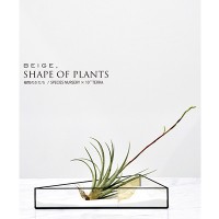 展示販売会「SHAPE OF PLANTS 植物のかたち」が開催