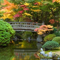 アメリカ・オレゴン州で味わう日本の美「ポートランド日本庭園」／Strolling Pond, Fall (photo cred David Cobb)