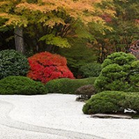 アメリカ・オレゴン州で味わう日本の美「ポートランド日本庭園」／Flat Garden, fall