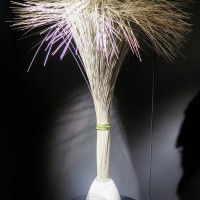 ニコライ・バーグマン（Nicolai Bergmann）による展覧会「伝統花伝」がシャングリ・ラ ホテル 東京で開催中