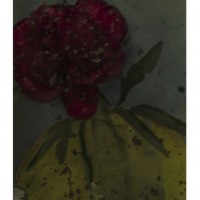 Avant derniere pivoine (Last but one peony), 2011