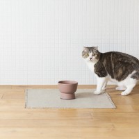 RINN Inc.が新作猫用水飲み器「Cat Water Bowl」の予約注文受付を開始